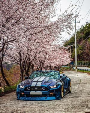 Ford Mustang GT M86 Unicorn by Clinched 2020 года 